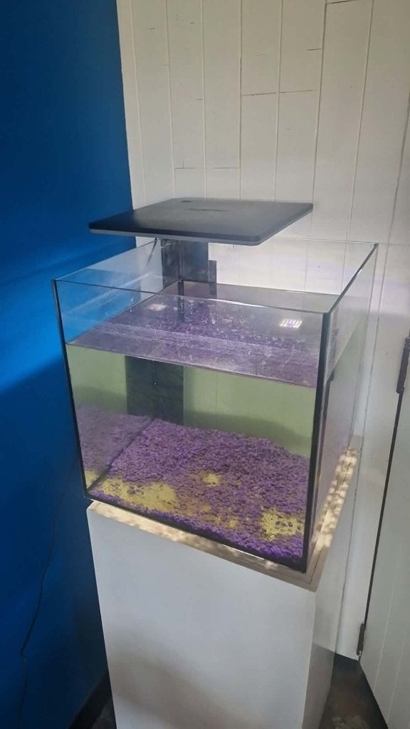 Aquarium te koop, Dieren en Toebehoren, Ophalen, Pomp