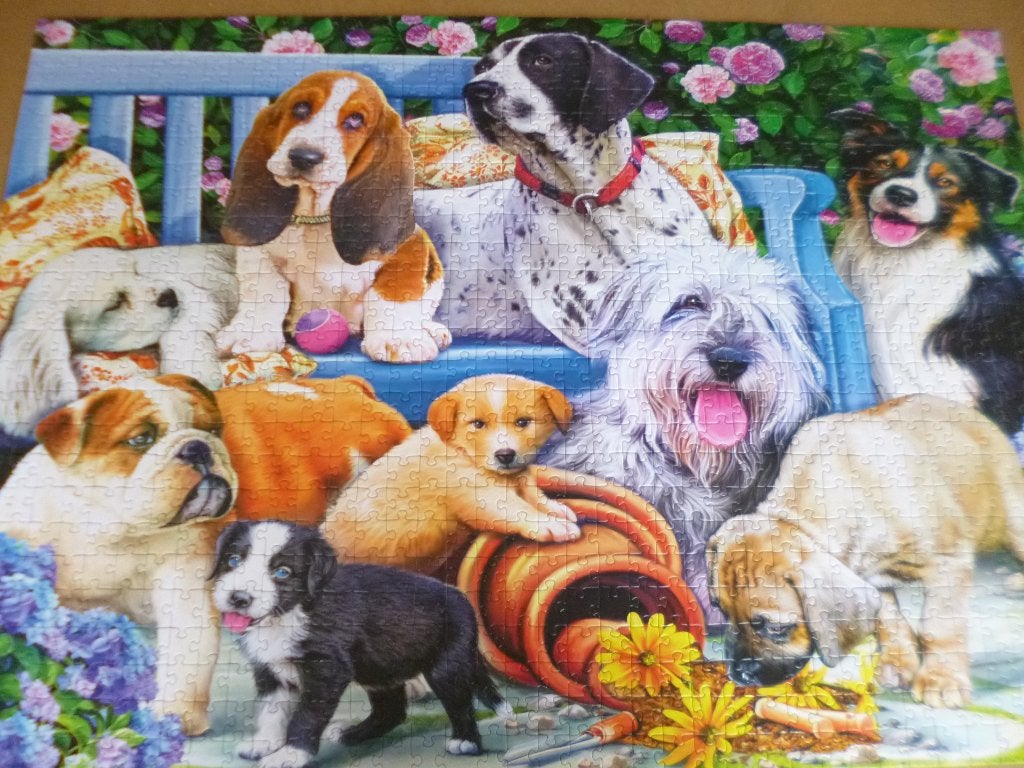 Puzzel 1000 stukjes, Hobby en Vrije tijd, Ophalen of Verzenden, Zo goed als nieuw