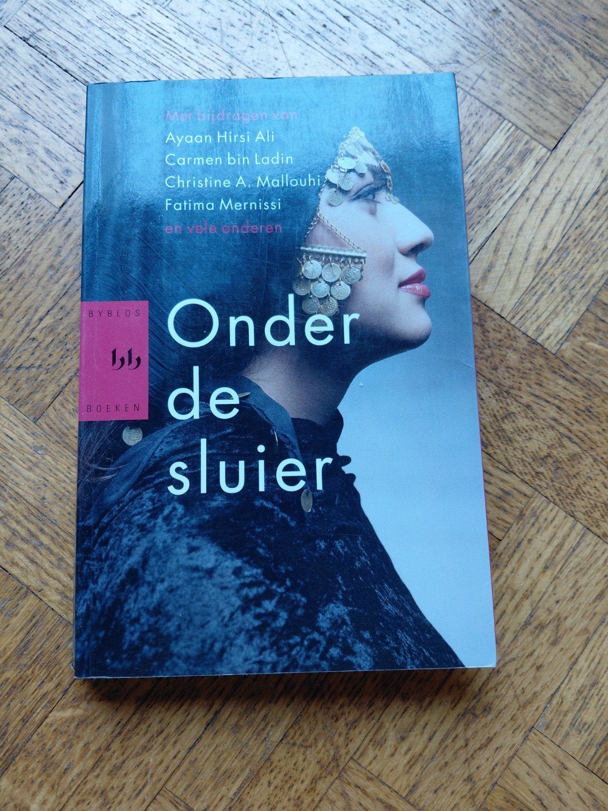 Ayaan Hirsi Ali & co: Onder de sluier, Ophalen of Verzenden, Gelezen, Nederland