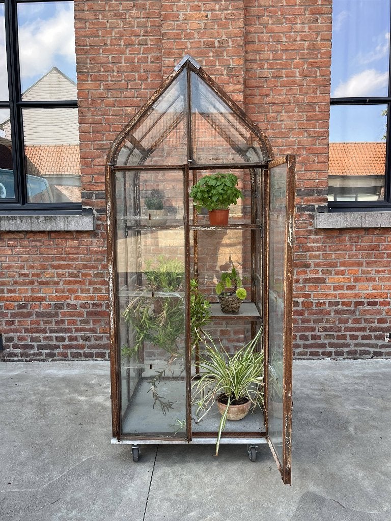 Kas serre greenhouse glaskas kweekkas 70 x 75 x 175 cm, Hobby en Vrije tijd, Overige Hobby en Vrije tijd, Ophalen, Zo goed als nieuw