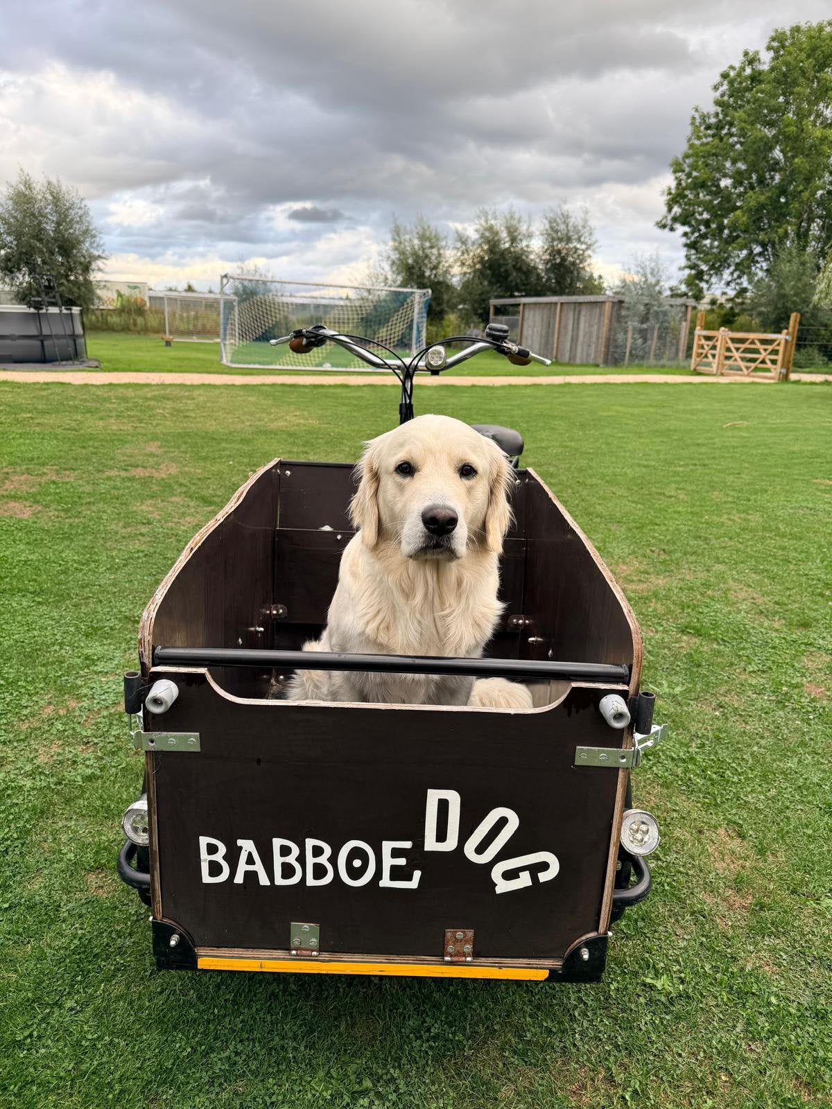Babboe Dog Bakfiets, Vélos & Vélomoteurs, Vélos | Vélos avec bac, Enlèvement, Utilisé, Autres marques, Électrique