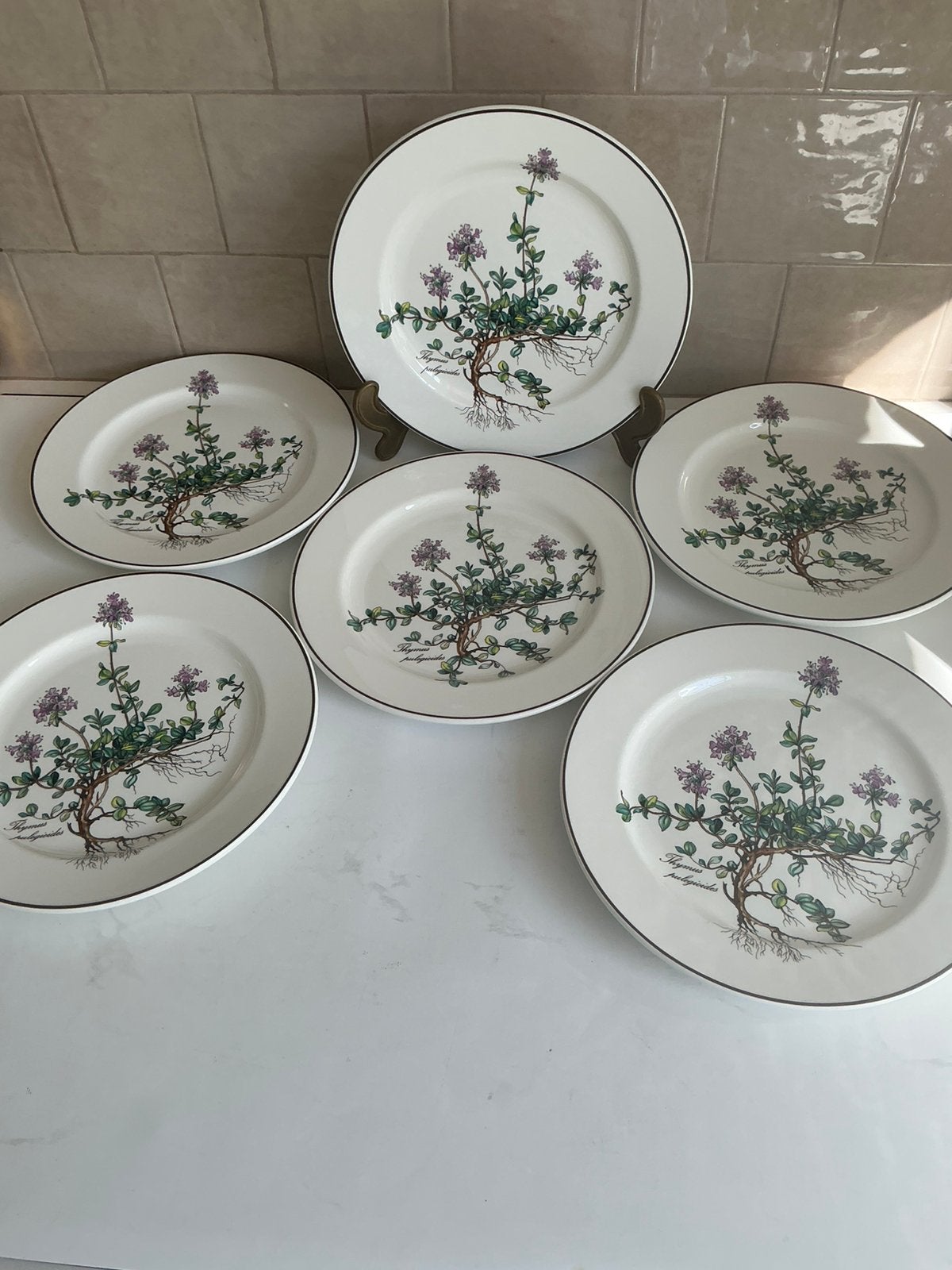 Villeroy & boch Botanica 6+2gratis borden, Ophalen of Verzenden
