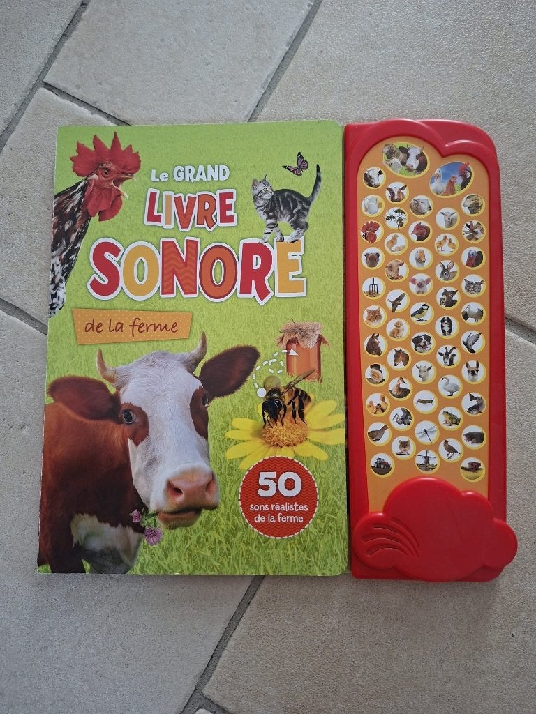 Livre sonore, Livres, Enlèvement, Comme neuf