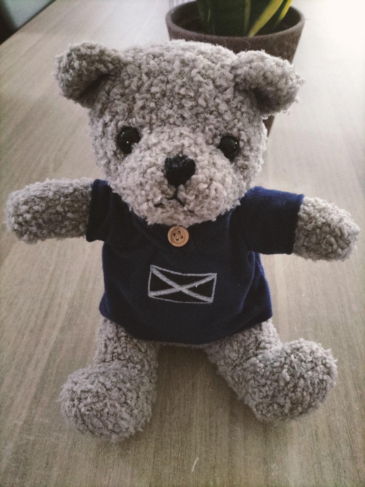 Knuffelbeertje met blauw truitje, Collections, Ours & Peluches, Enlèvement ou Envoi