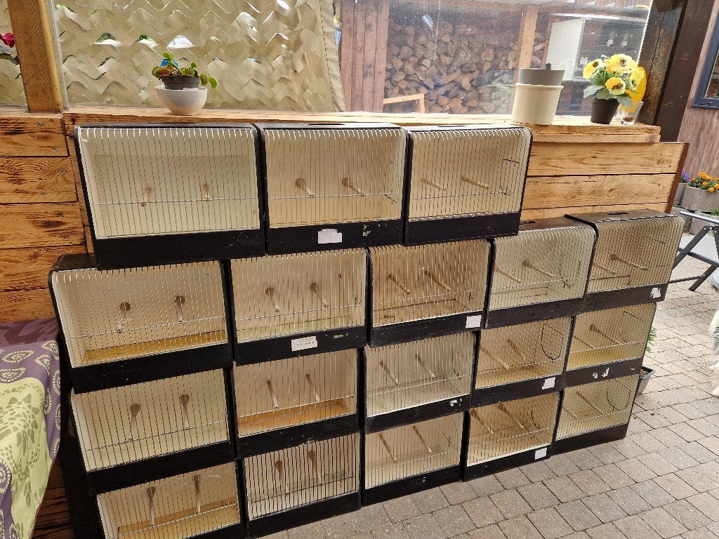 Tt kooien, Dieren en Toebehoren, Ophalen, Gebruikt, Hout, Overige typen