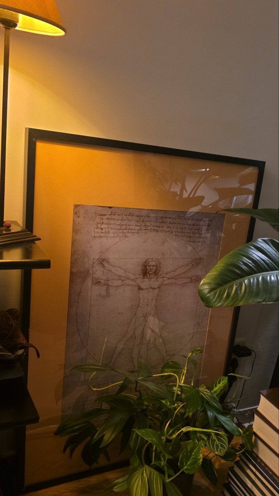 Grote Ingelijste Poster ‘De Vitruviusman’ (Da Vinci), Verzamelen, Posters, Ophalen