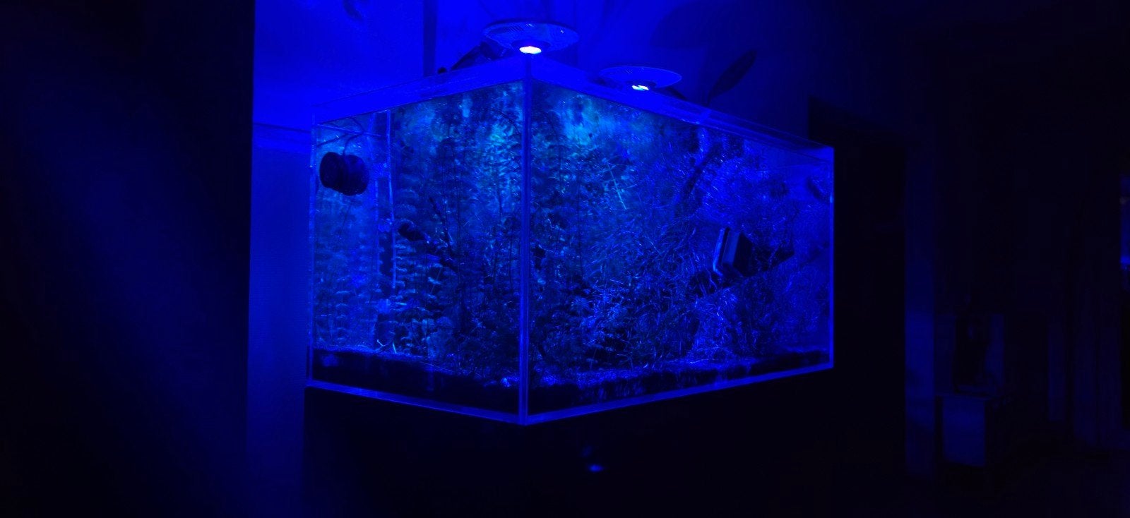 Zee / zoetwater aquarium. 400 liter, Dieren en Toebehoren, Ophalen