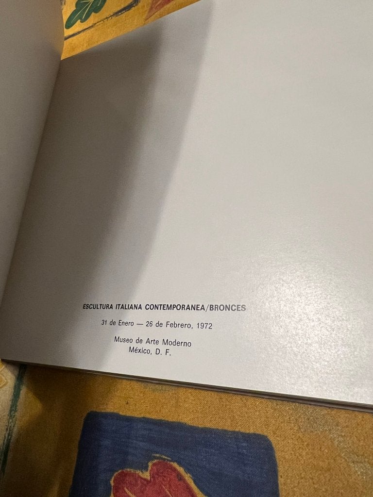Zeldzaam kunstboek Escultura Italiana Contemporanea / Bronce, Boeken, Ophalen of Verzenden, Gelezen, Overige onderwerpen