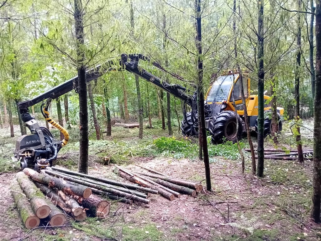 Abatteuse ebrancheuse, Enlèvement