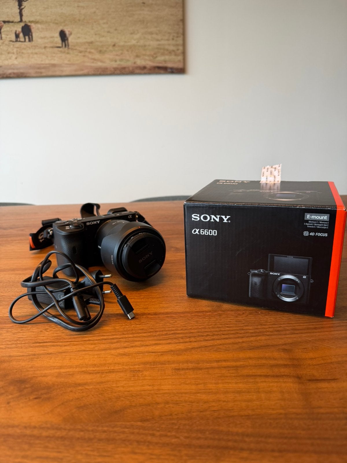 Sony a6600 + Lens, Enlèvement, Comme neuf, Sony