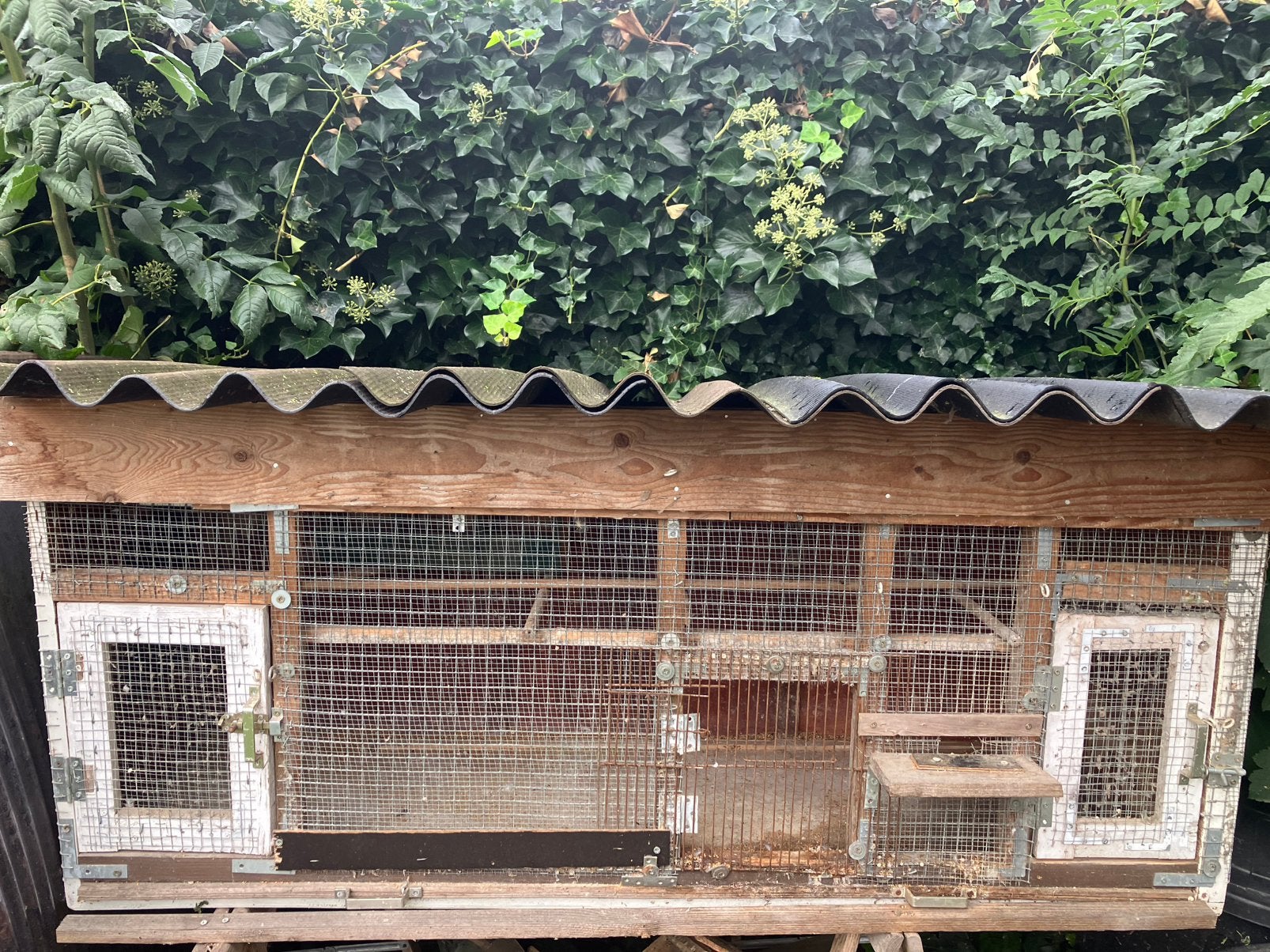 GROTE HOUTEN KWEEKBAK : 1M55 X 45 X 66 cm. nu. 25 EURO, Dieren en Toebehoren, Ophalen, Gebruikt, Hout, Broedkooi of Kweekkooi