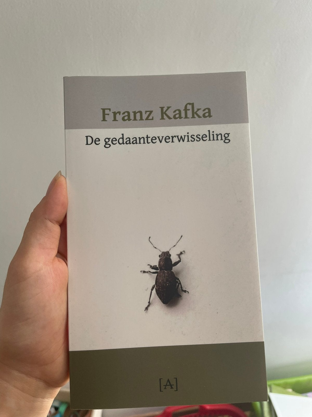 De gedaanteverwisseling - Franz Kafka, Ophalen of Verzenden