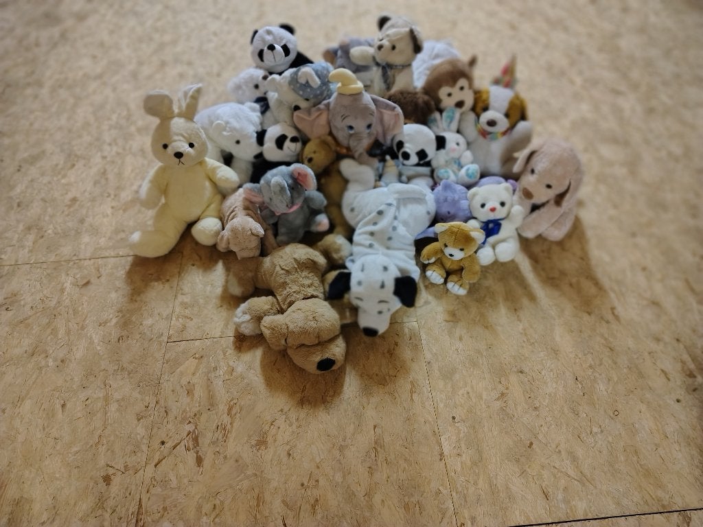 Pakket pluchen knuffels, Enlèvement