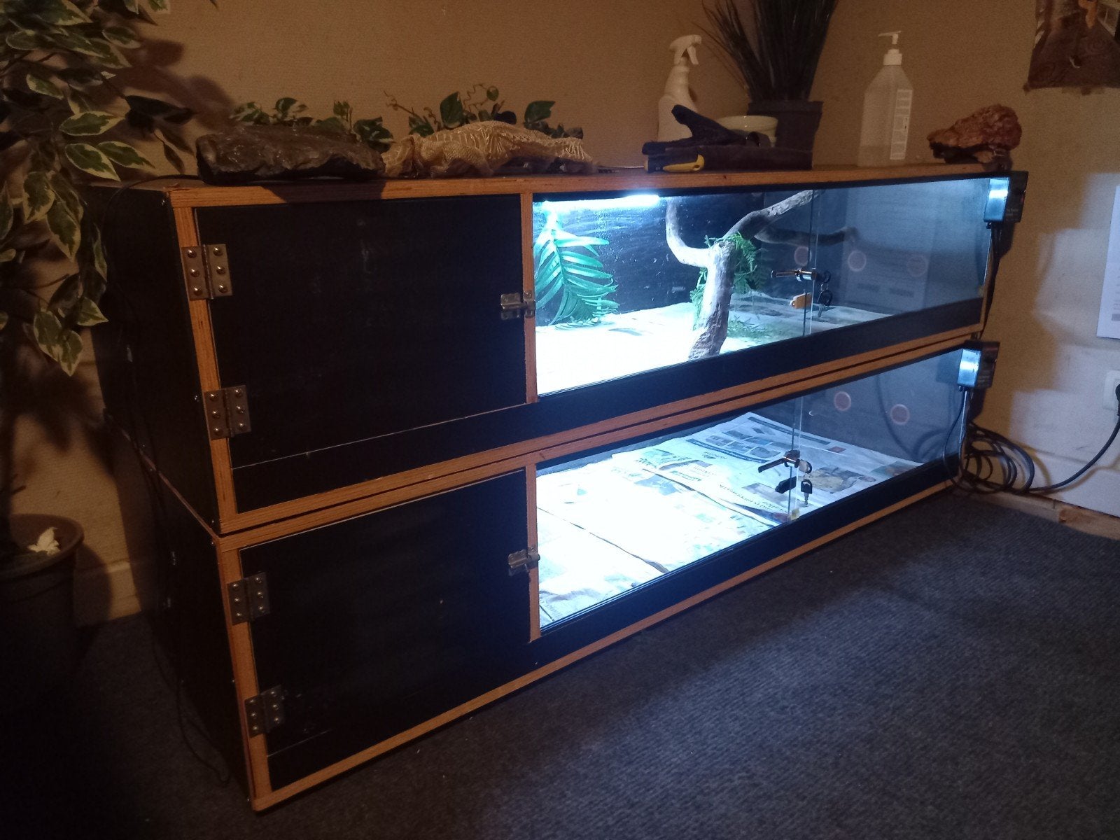 Betonplex terrarium, Animaux & Accessoires, Reptiles & Amphibiens | Accessoires, Enlèvement, Éclairage