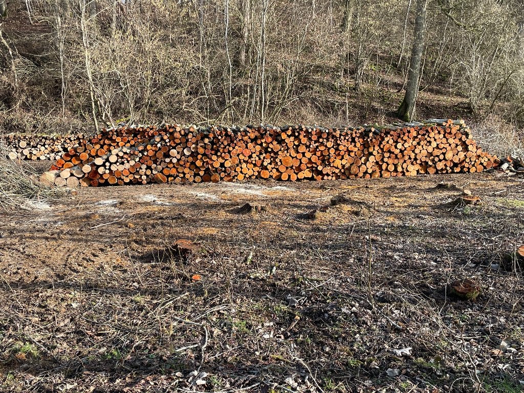 Bois à vendre, 6 m³ ou plus, Enlèvement, Aulne, Bûches