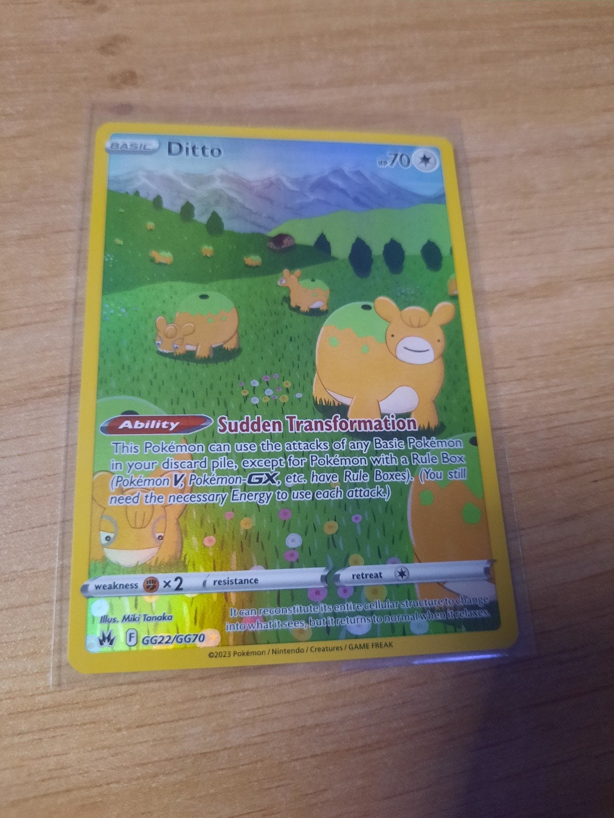 Ditto GG22/GG70, Hobby & Loisirs créatifs, Jeux de cartes à collectionner | Pokémon, Enlèvement