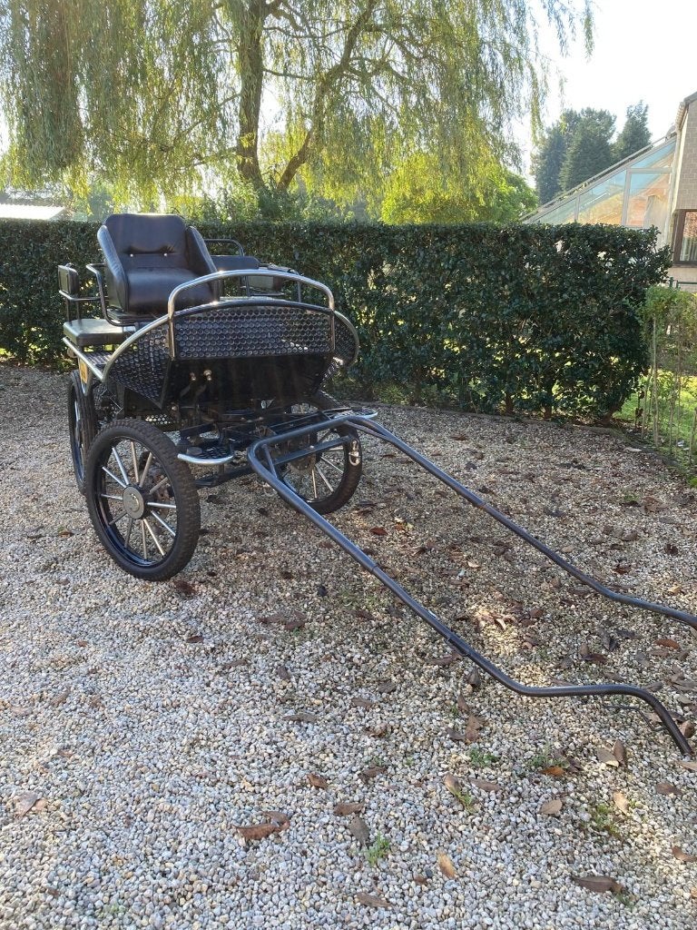 Paardenkoets, Dieren en Toebehoren, Gebruikt, Wagonette, Paard
