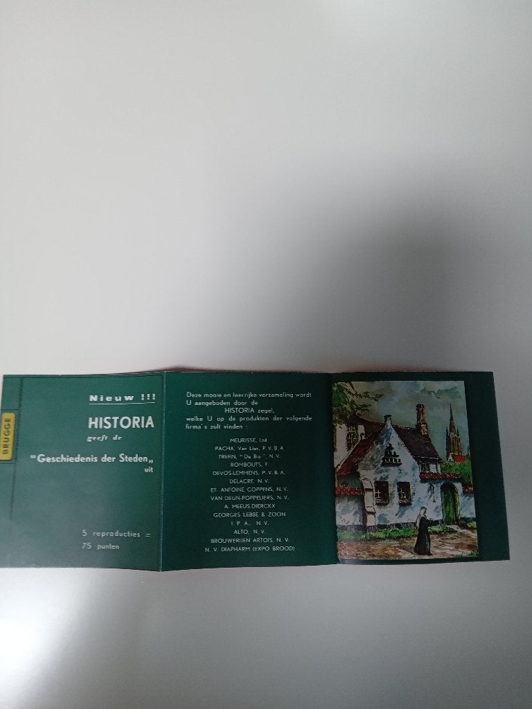 artis-historia foldertje geschiedenis der steden in nl en fr, Ophalen of Verzenden, Gelezen, Prentenboek