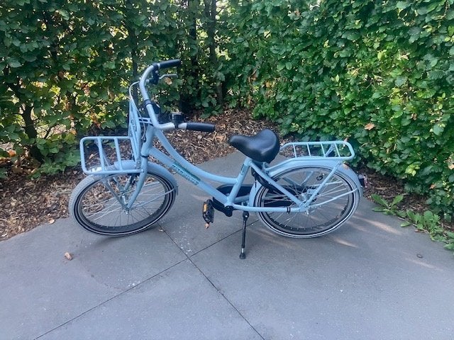 kinderfiets, Ophalen, Terugtraprem, Alpina, 16 tot 20 inch