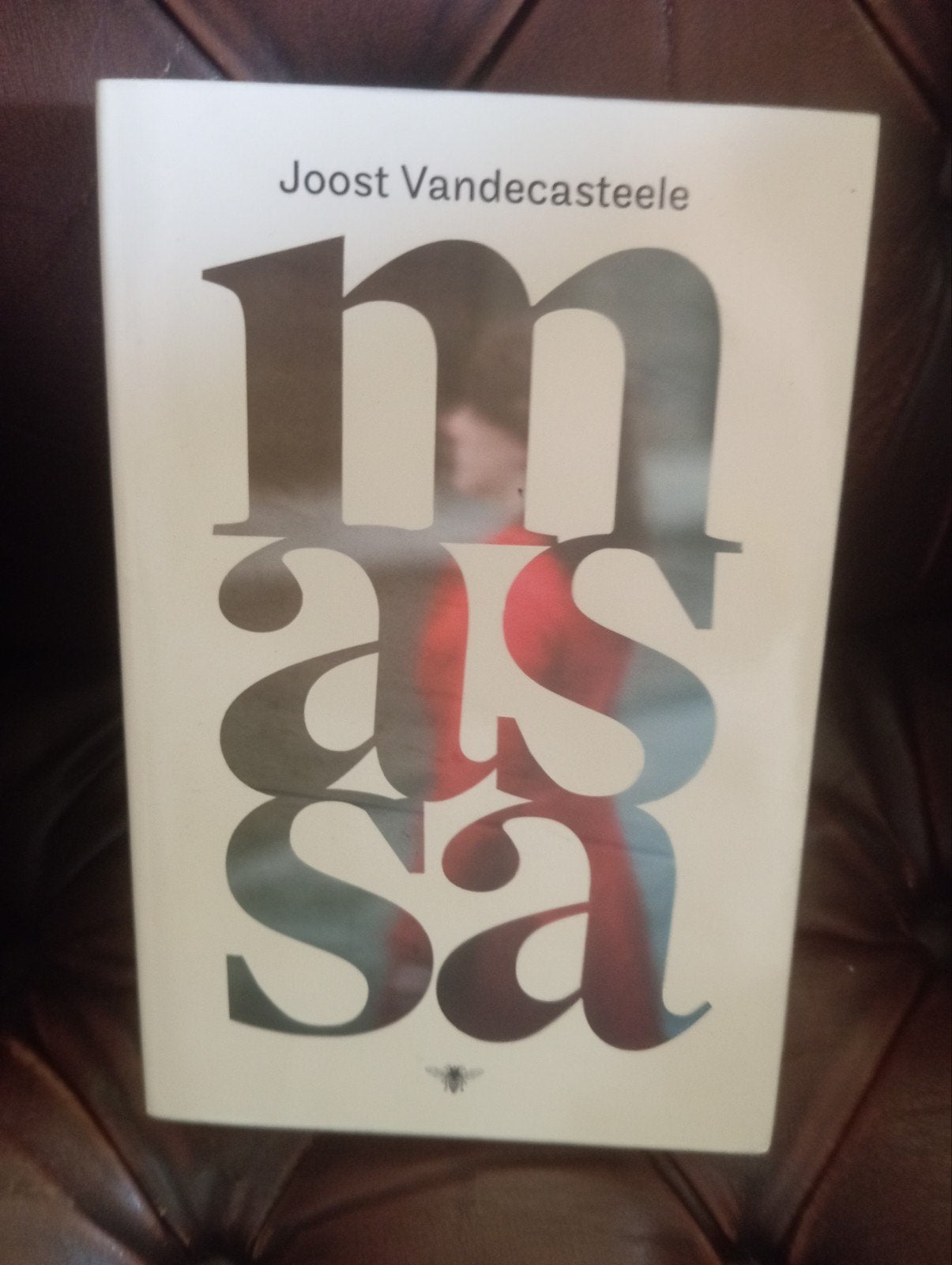 massa - door: Joost Vandecasteele, Ophalen of Verzenden