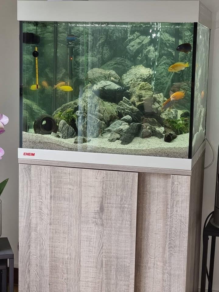 Zoetwater Aquarium Eheim, Dieren en Toebehoren, Decoratie, Gebruikt, Eheim, Ophalen