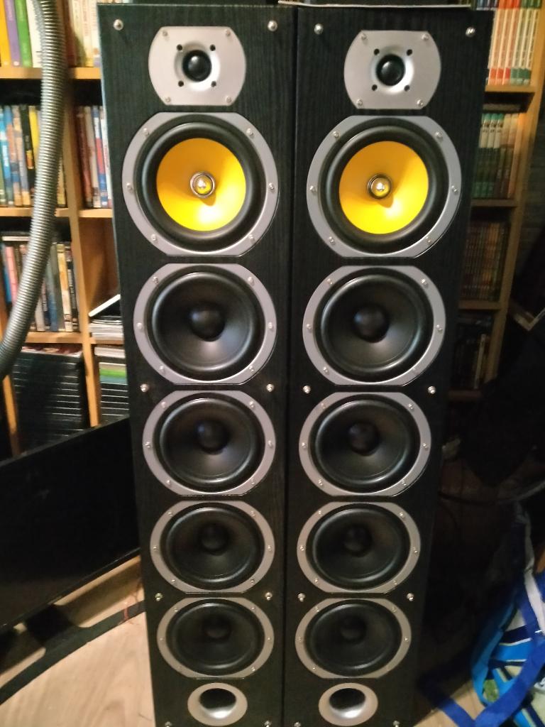 Zuilboxen set van 2 Fenton speakers 600 watt, Audio, Tv en Foto, Luidsprekerboxen, Gebruikt, 120 watt of meer, Front, Rear of Stereo speakers