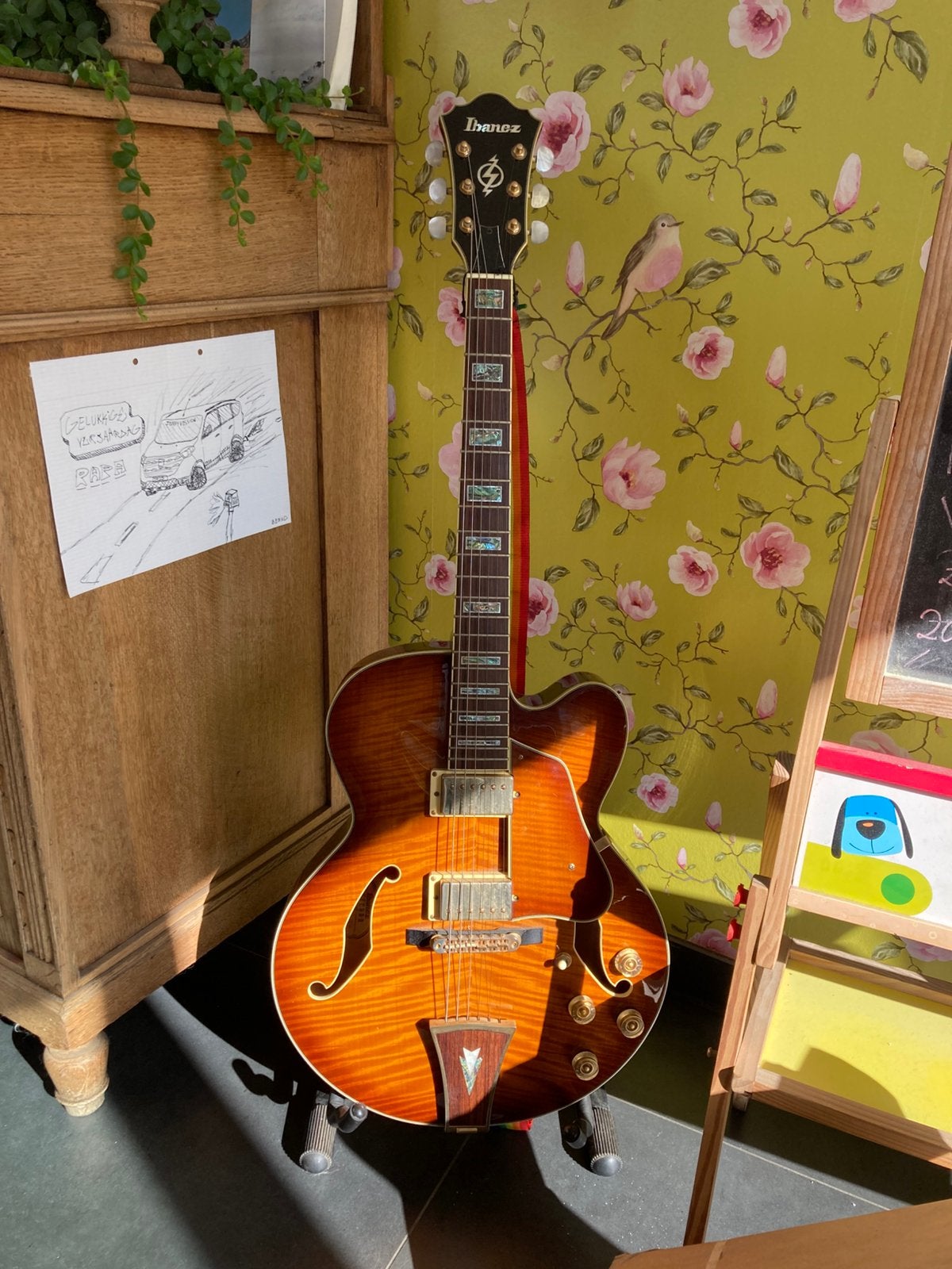 Ibanez af95 vanuit 2007, Enlèvement, Utilisé, Hollow body, Ibanez