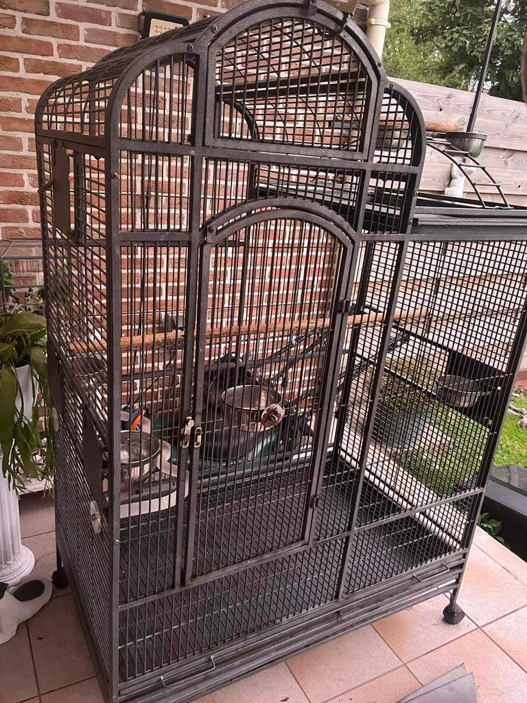 Papegaaienkooi, Dieren en Toebehoren, Vogels | Hokken en Kooien, Ophalen, Gebruikt