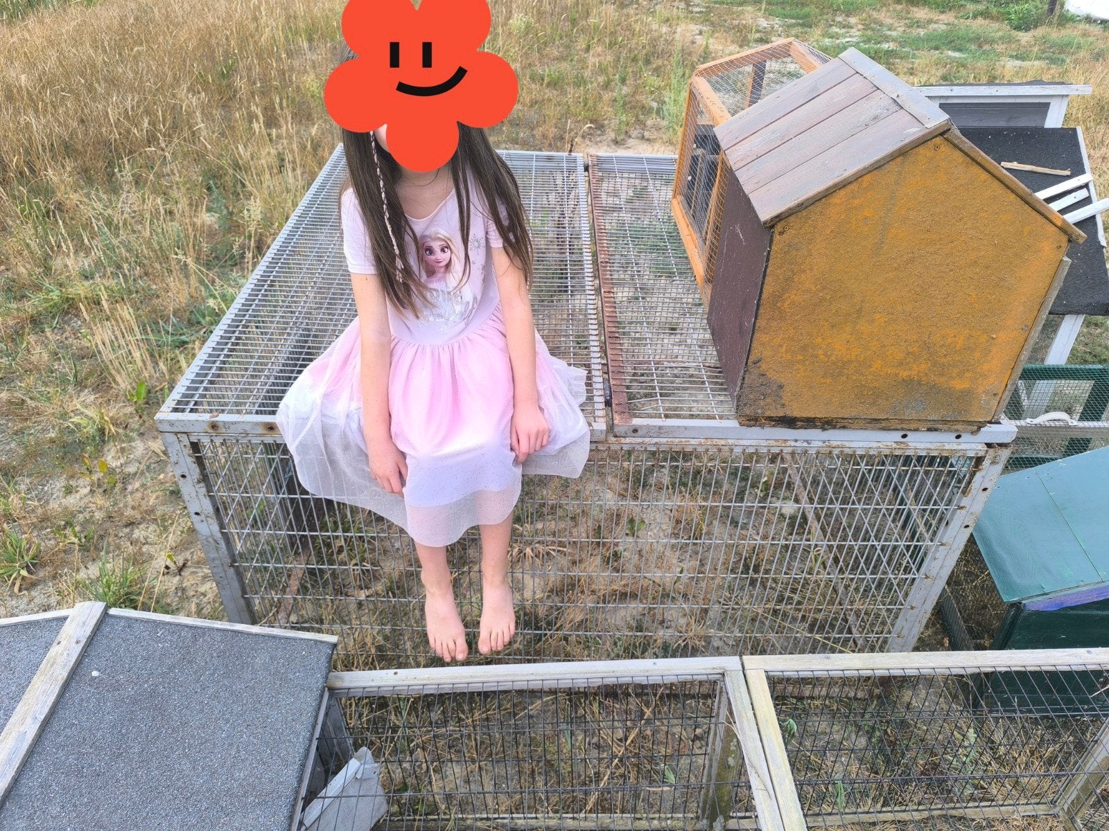 🐰Grote ijzeren ren en hok‼️, Dieren en Toebehoren, Ophalen