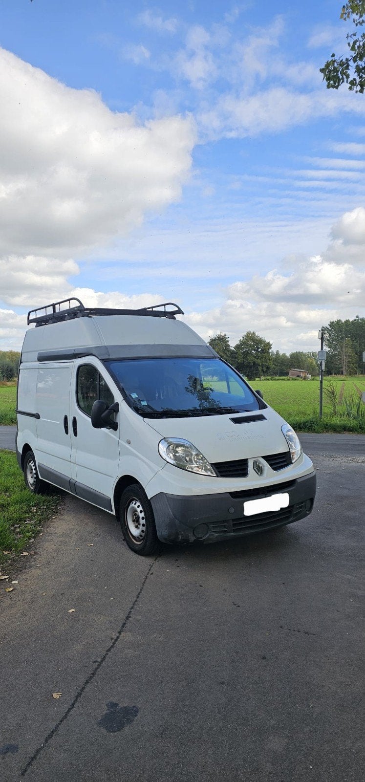 Renault Trafic Lichte Vracht 2.0 diesel van 2010 jaar, Diesel, Particulier, Te koop, Elektrische ramen