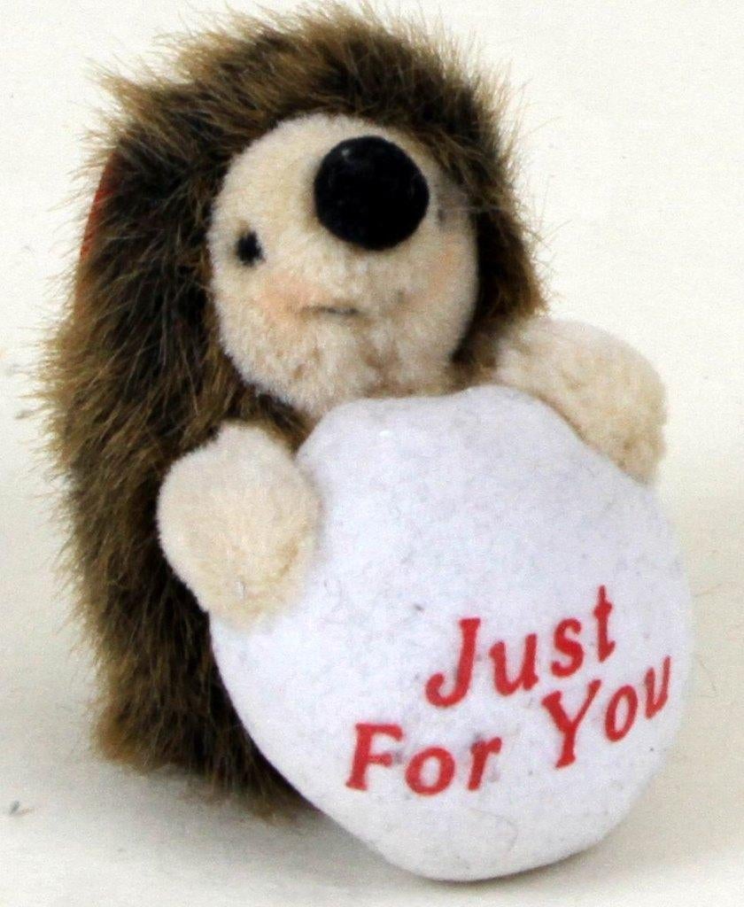 Pluchen Egel met kussen "Just for You", Kinderen en Baby's, Ophalen of Verzenden, Gebruikt, Overige typen