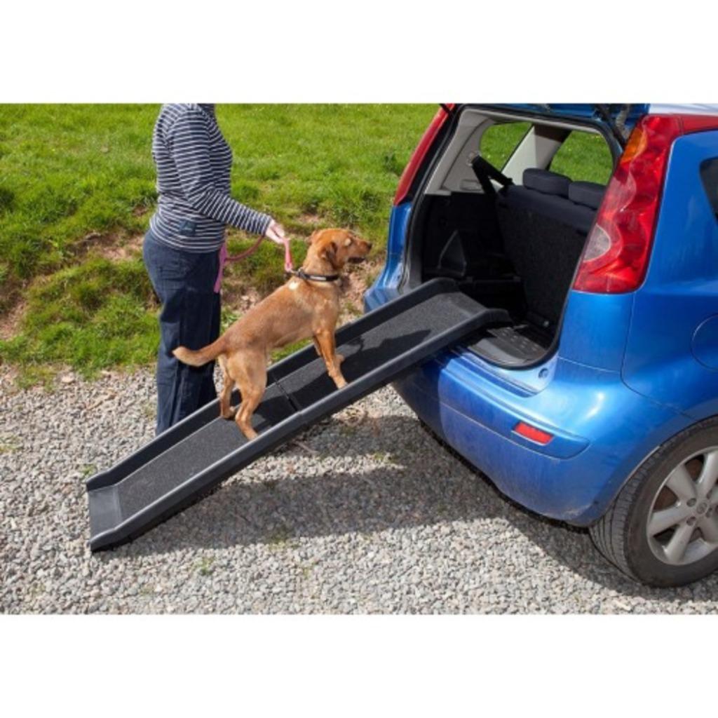 Rampe pour chiots Gangway Car Dogs, différentes couleurs !, Animaux & Accessoires, Accessoires pour chiens, Neuf, Enlèvement ou Envoi
