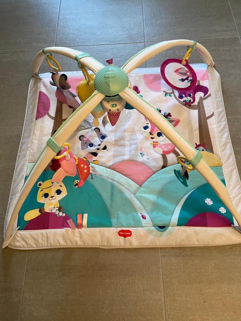 Tapis de jeu Tiny Love Gymini Princess, Enlèvement, Comme neuf