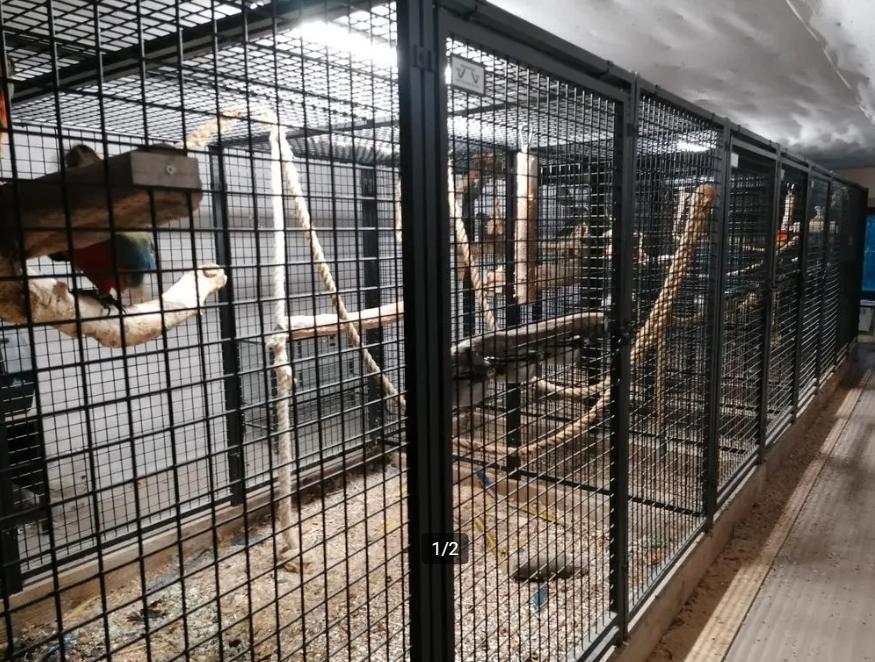 Stevige volière voor papegaaien, Ophalen, Gebruikt, Metaal, Volière