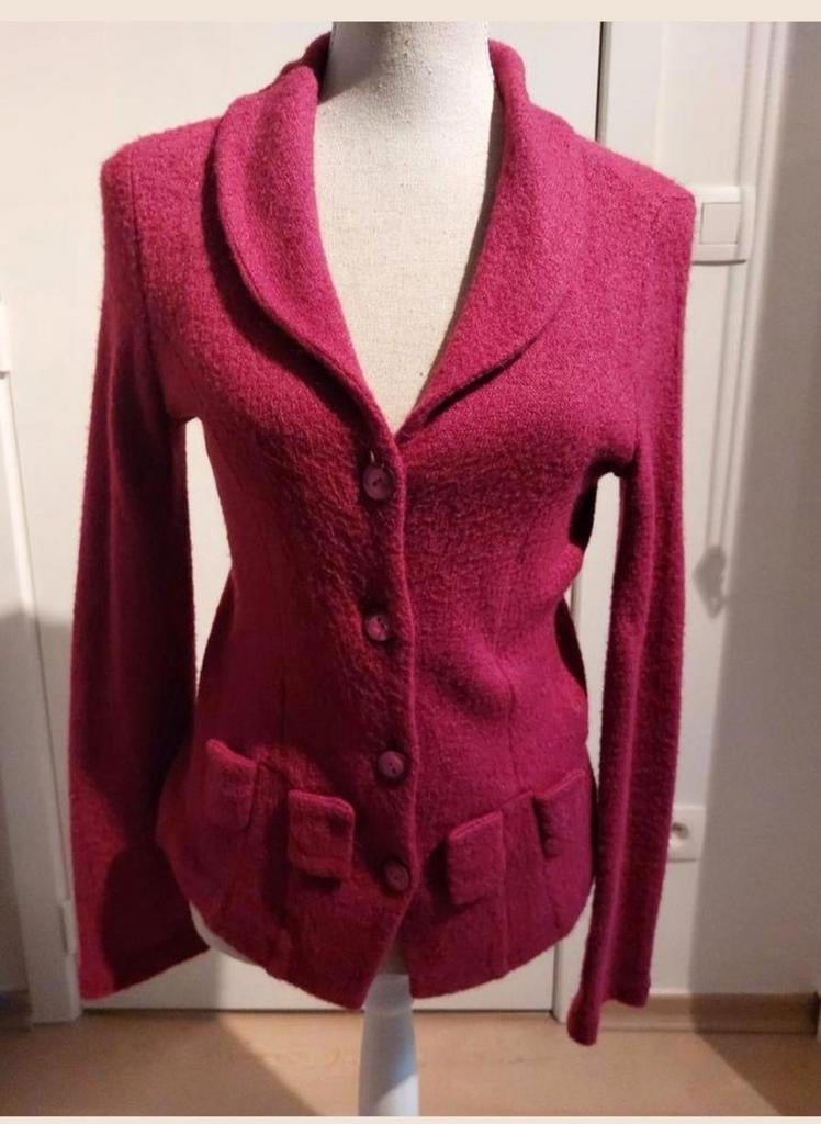 Gilet, Ophalen of Verzenden, Maat 38/40 (M)