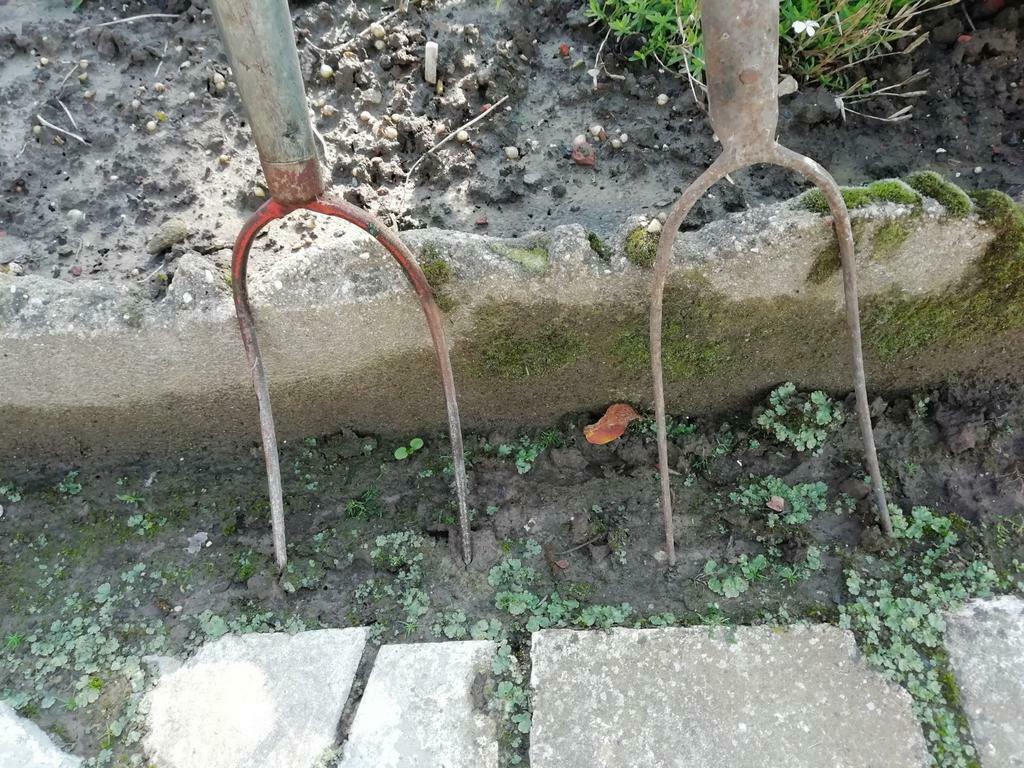 Rieken en vorken, Enlèvement, Fourchette