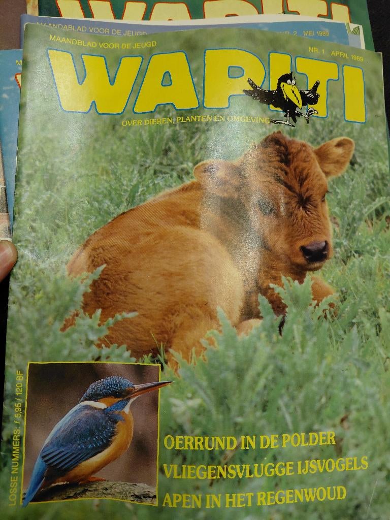 Wapiti april 1989 tem december 1989, Ophalen of Verzenden, 1980 tot heden, Tijdschrift
