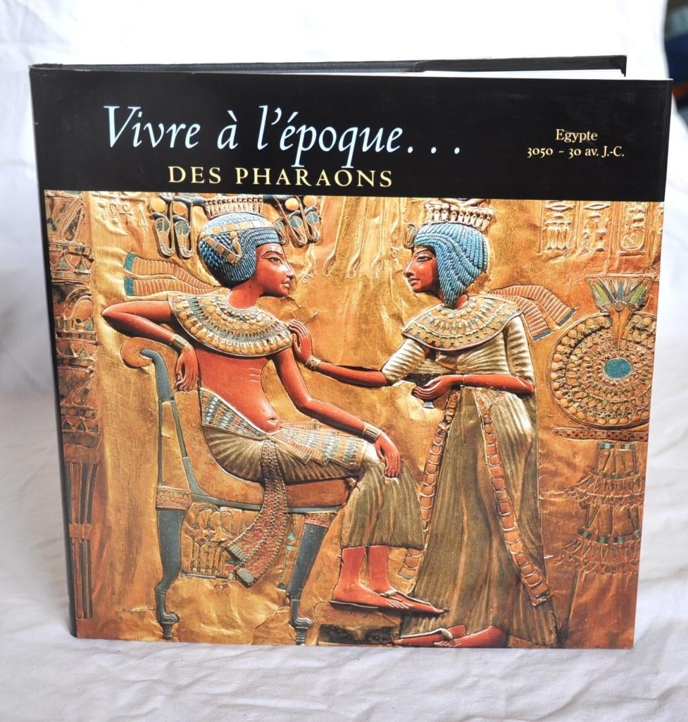 livre vivre a l'epoque des pharaons (x2313), Enlèvement ou Envoi, Comme neuf