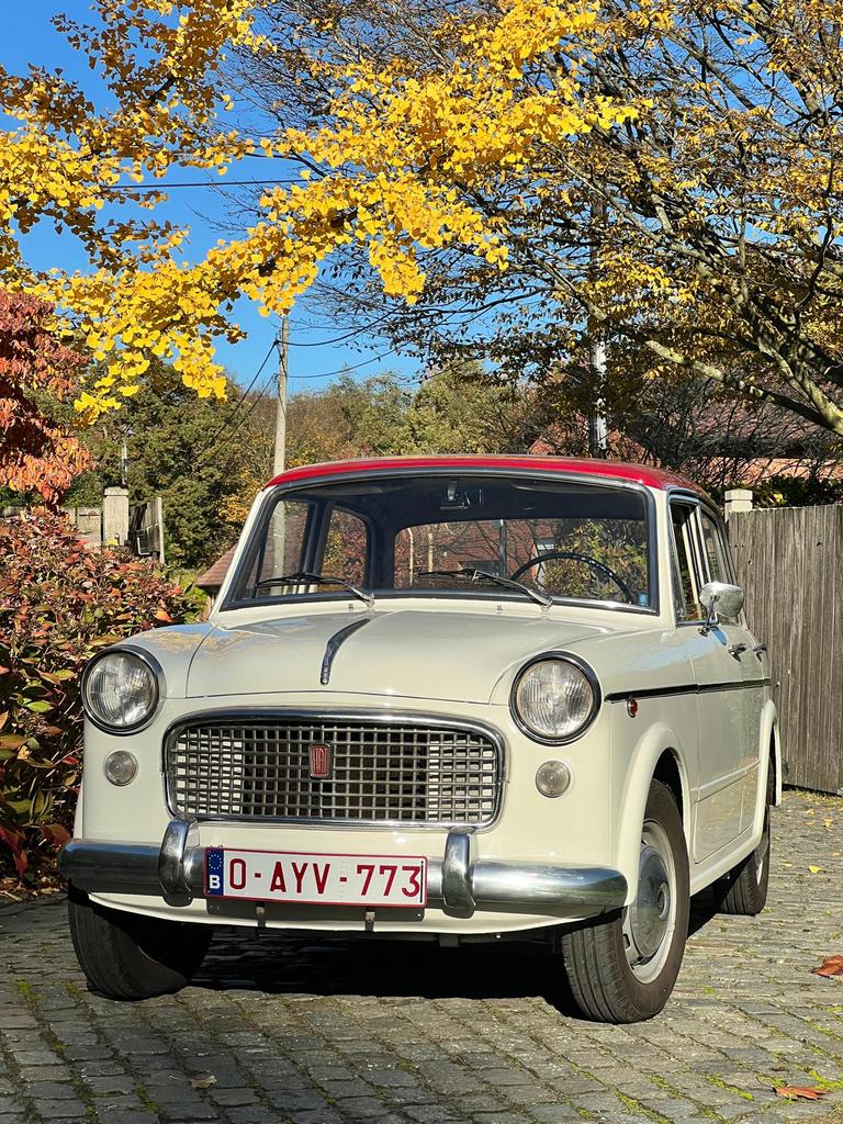 Fiat 1100 speciaal bwj 1961, Autos, Oldtimers & Ancêtres, Particulier, Fiat, Enlèvement