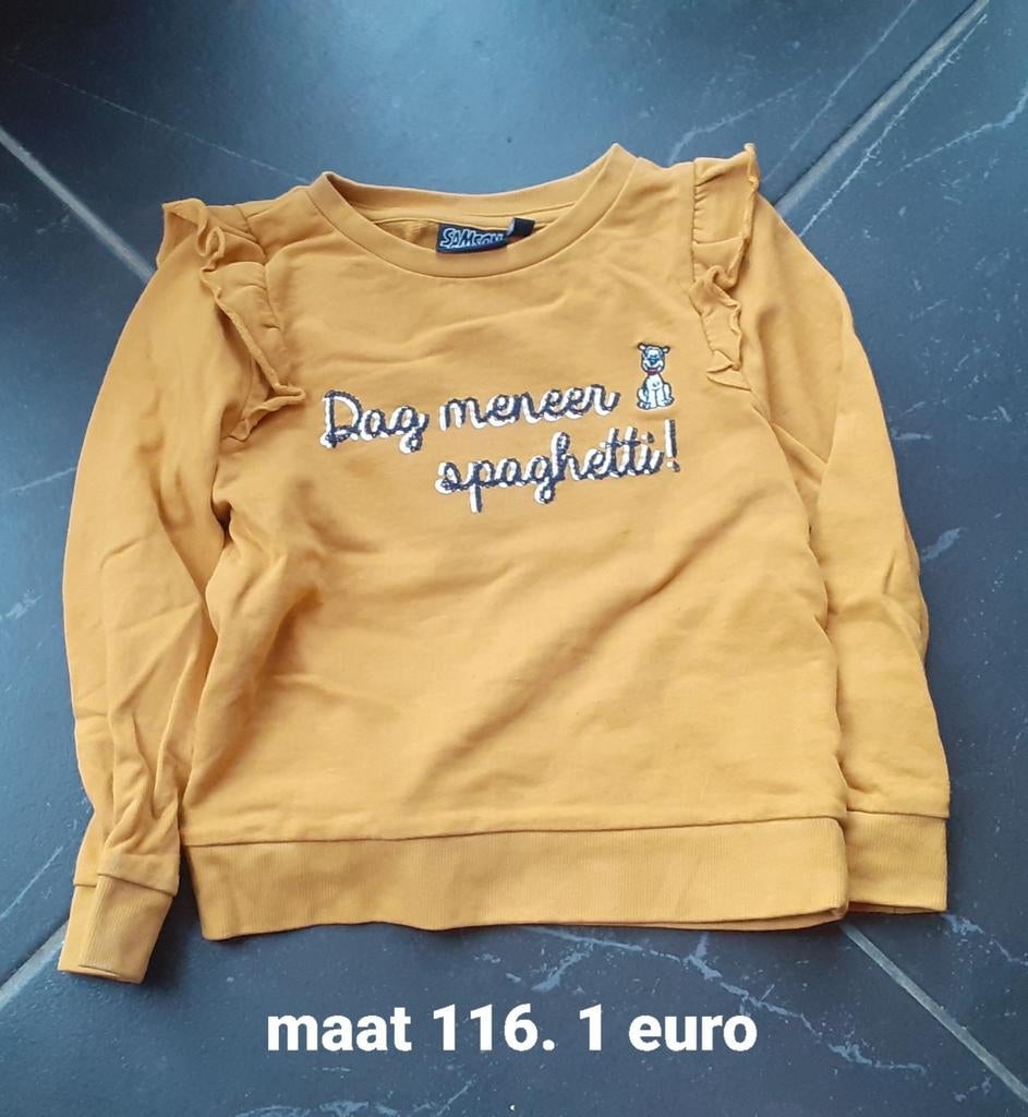 Truien winter meisjes maat 116. 1 euro stuk, Ophalen of Verzenden, Gebruikt