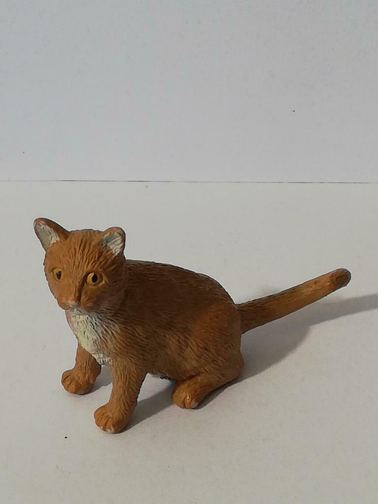 Safari CAT, Enlèvement ou Envoi, Utilisé