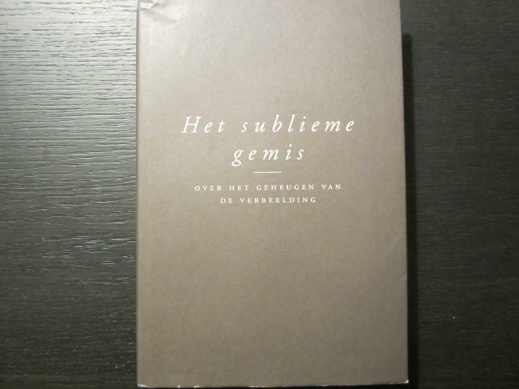Het sublieme gemis -Over het geheugen van de verbeelding-, Livres, Art & Culture | Arts plastiques, Comme neuf, Enlèvement ou Envoi