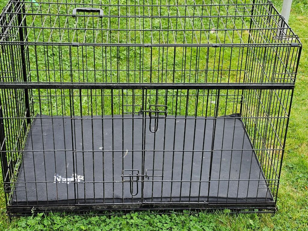 hondenbench groot, Enlèvement