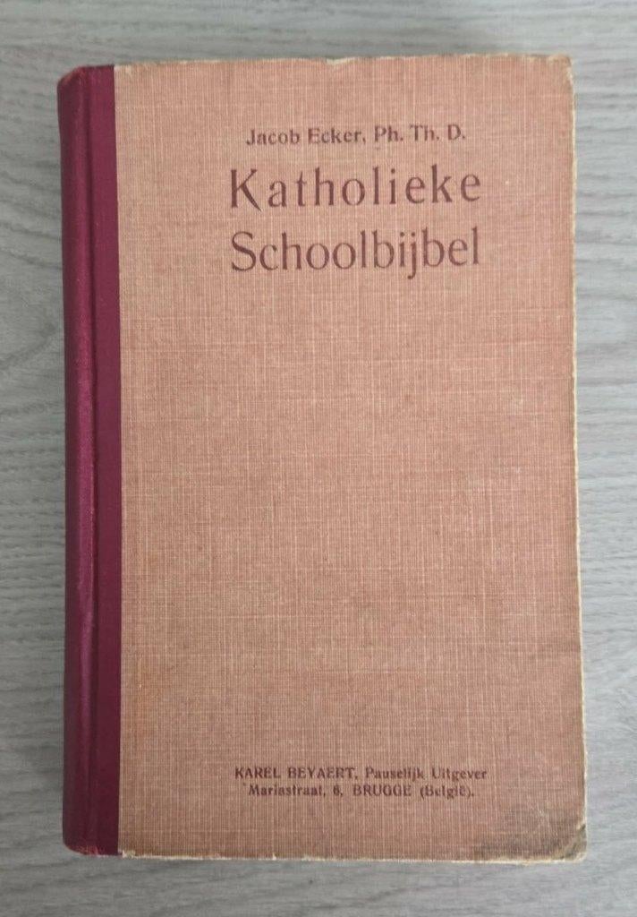 Katholieke schoolbijbel 1924 uitg. Beyaert, Boeken, Ophalen of Verzenden, Gelezen, Christendom | Katholiek