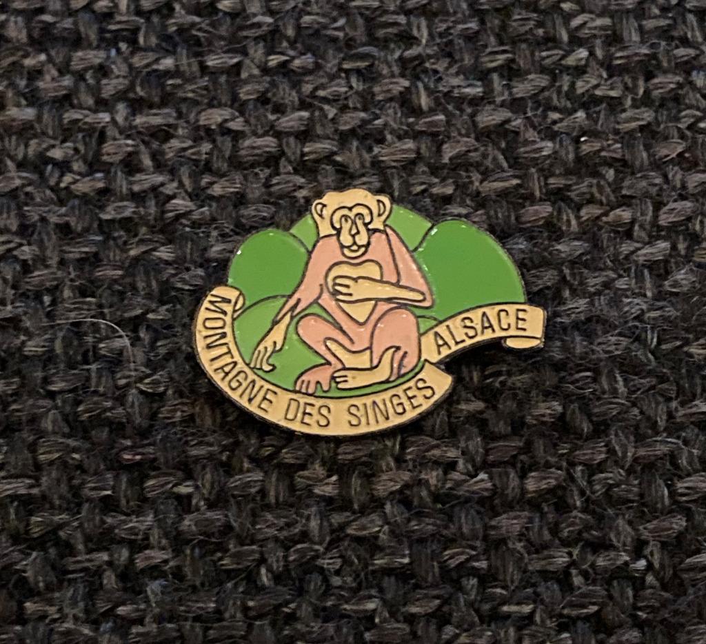 PIN - MONTAGNE DES SINGES ALSACE - SINGE - AAP - MONKEY, Envoi, Utilisé, Animal et Nature, Insigne ou Pin's