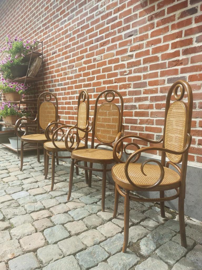 Thonet stoelen, Enlèvement