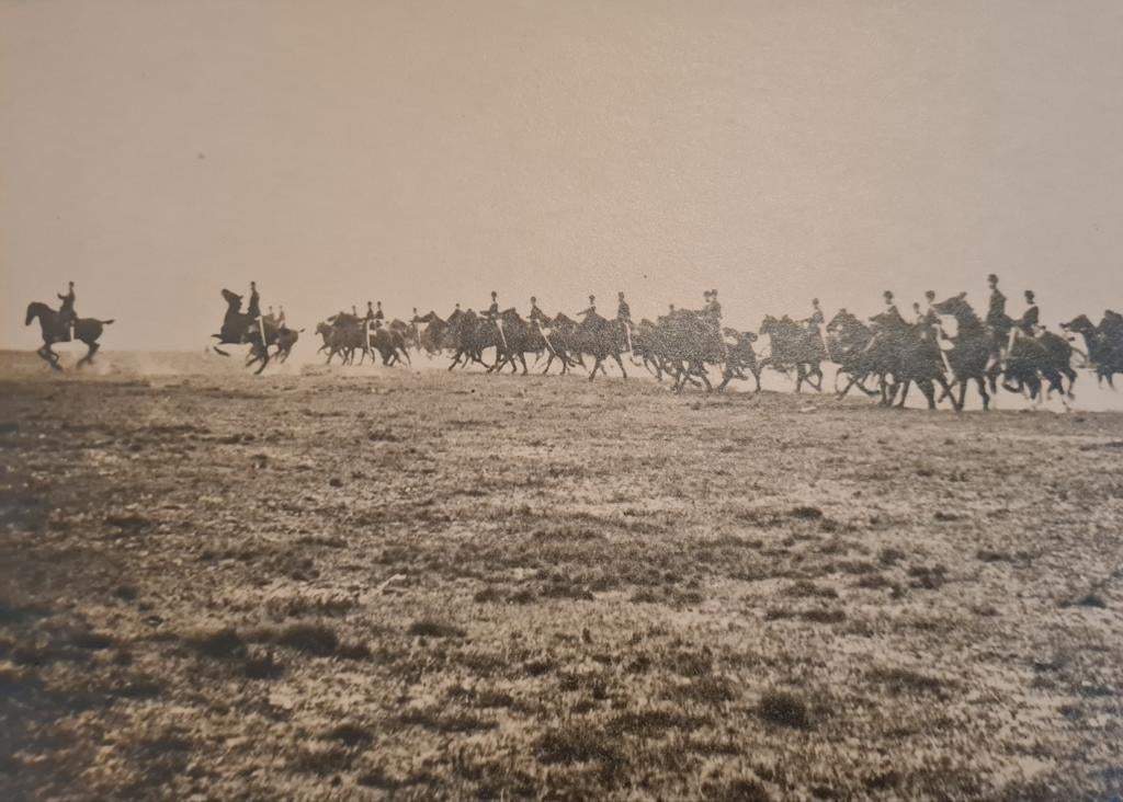 Grote historische foto gesigneerd door Belgian Army Cavalier, Ophalen of Verzenden