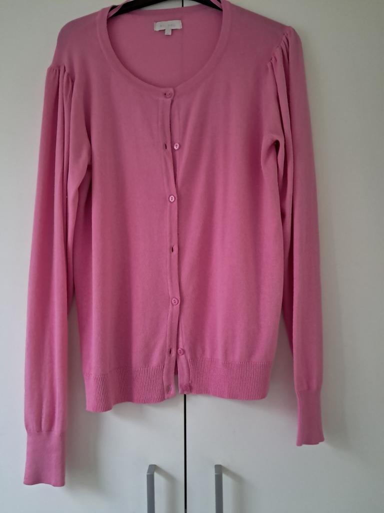 Nieuwe   fuschia gilet L  . Bel& Bo, Enlèvement, Neuf, Rose