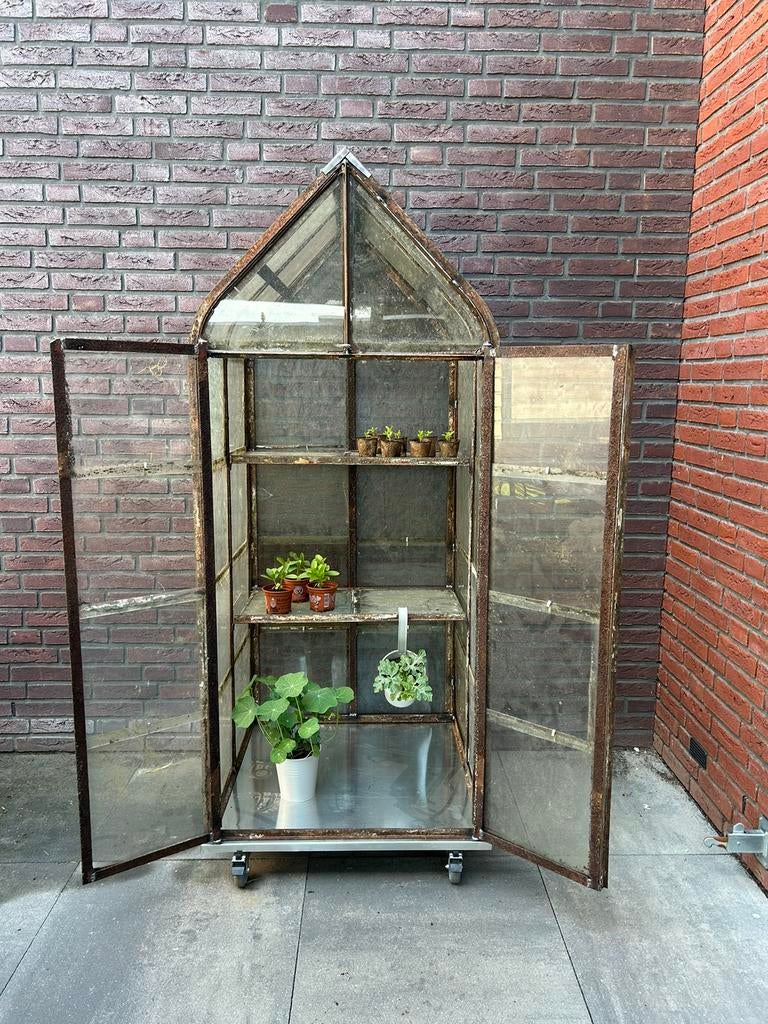Kas serre greenhouse kweekkas glaskas uniek 70 x 75 x 175 cm, Staal, Kweekkas, Ophalen of Verzenden, Zo goed als nieuw