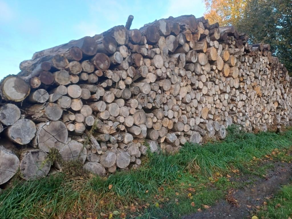 Bois de chauffage qualité extra en 2m, Enlèvement ou Envoi